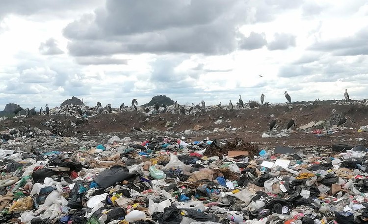 Municipality breaks the rules on Phalaborwa landfill site